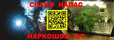 СК Бугуруслан