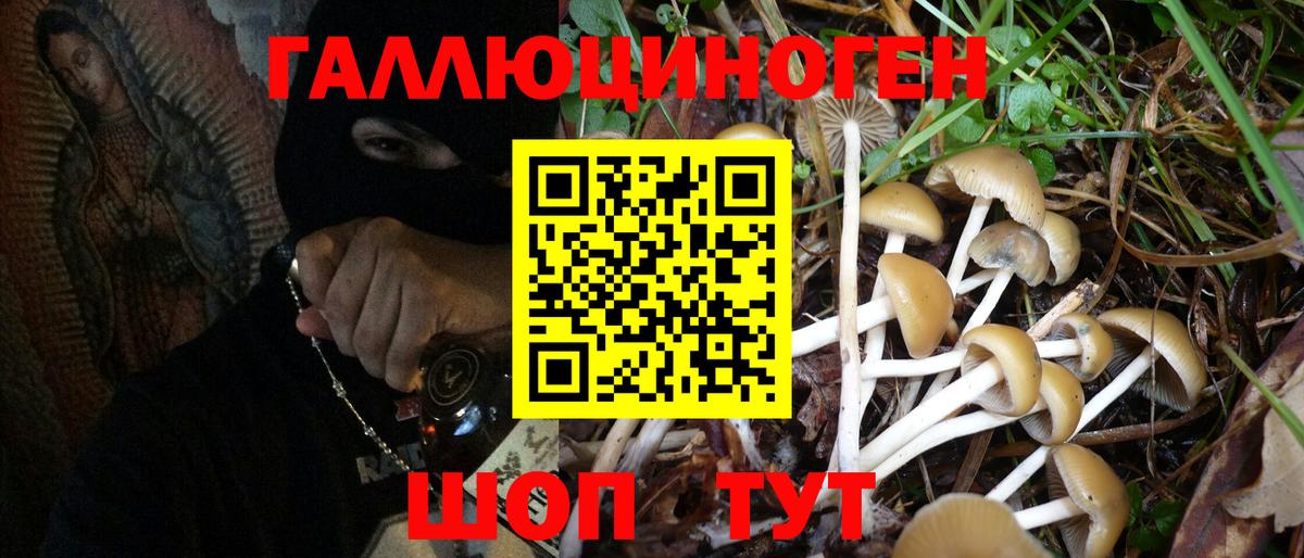 Галлюциногенные грибы Cubensis  Галлюциногенные грибы Magic Shrooms  Махачкала  Вход с VPN 