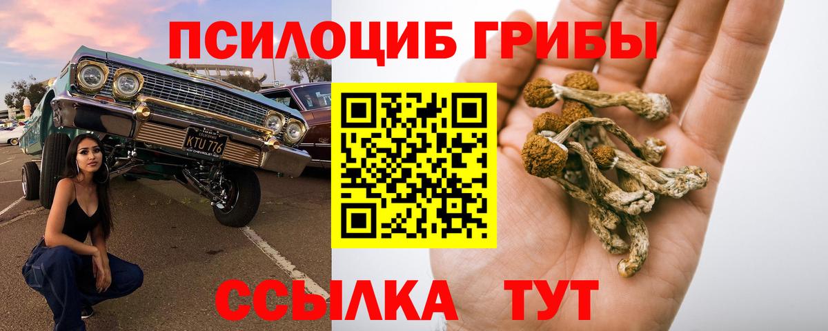 Галлюциногенные грибы ЛСД Махачкала