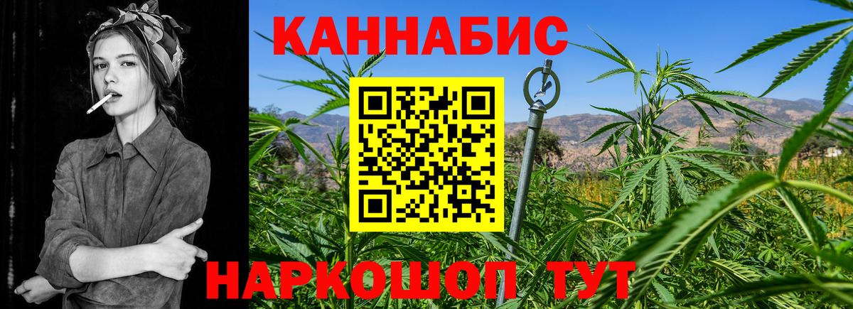 Псилоцибиновые грибы Махачкала